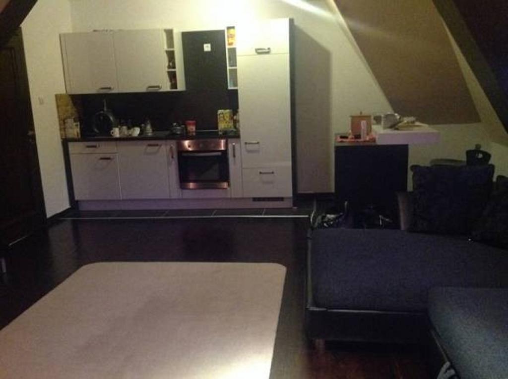 Apartment 111 At Zoned Apart Hotel & Spa - Apartman 111 U Hotelu Zoned Kopaonik Pokój zdjęcie